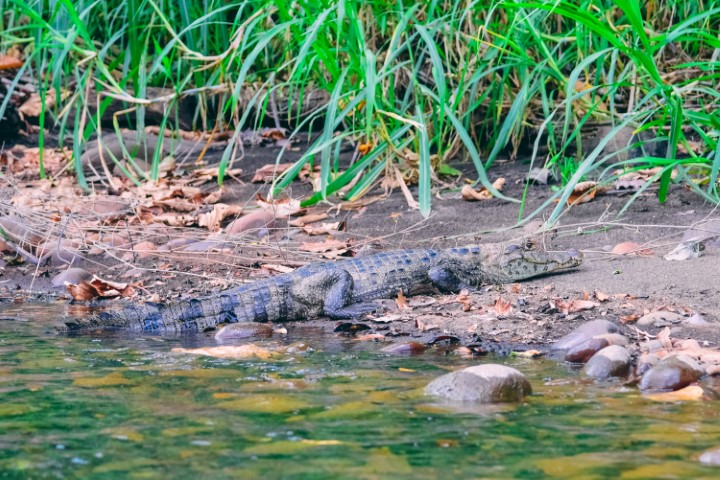 costa_rica_info_center