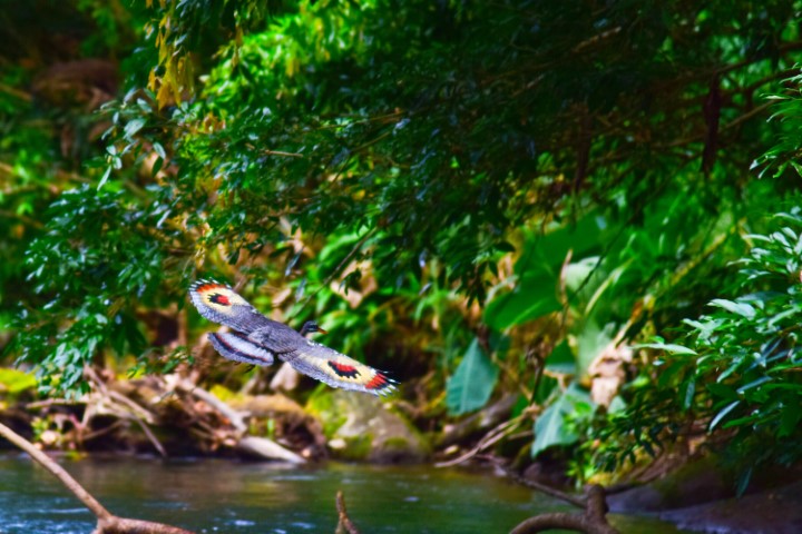 costa_rica_info_center