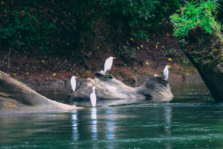costa_rica_info_center