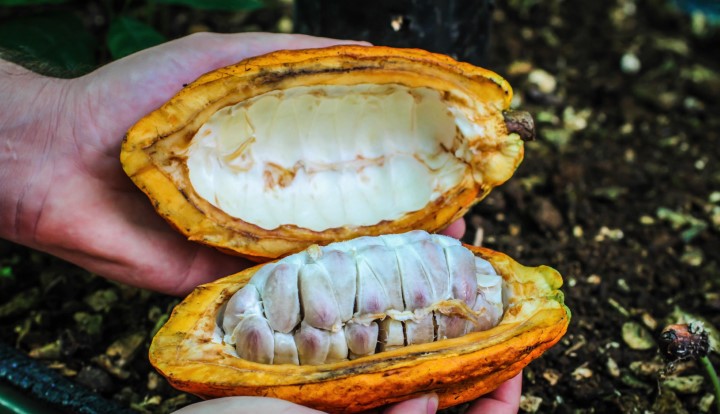 costa_rica_info_center