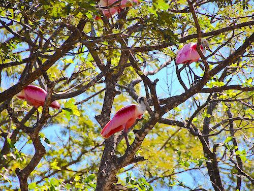 costa_rica_info_center