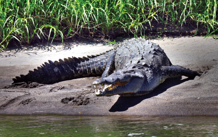 costa_rica_info_center