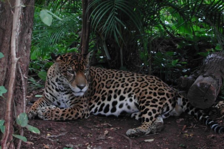 costa_rica_info_center