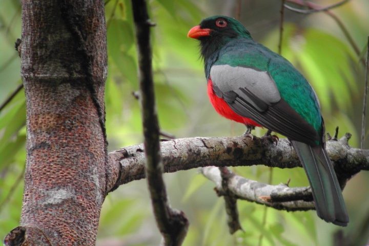 costa_rica_info_center