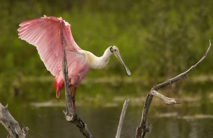 costa_rica_info_center