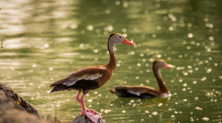 costa_rica_info_center