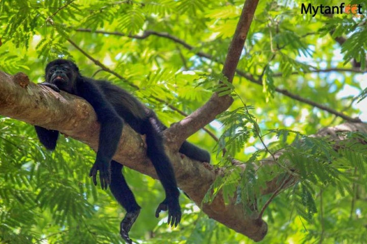 costa_rica_info_center