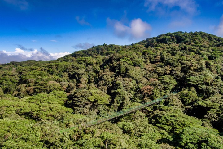 26_-_monteverde_-_hanging_bridges_01_Gallery