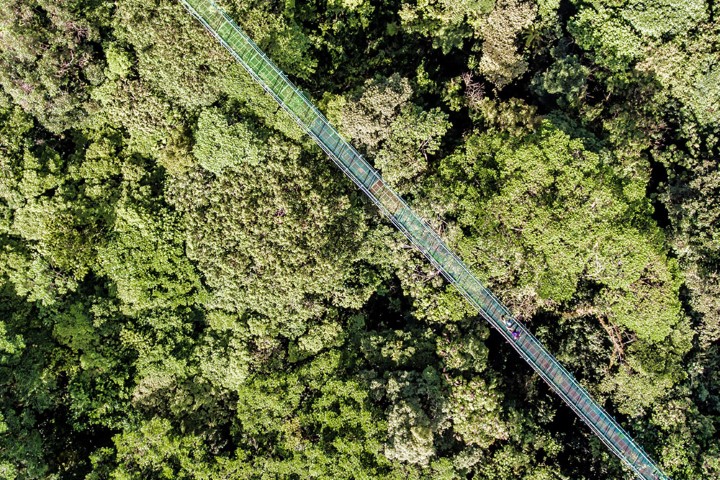 26_-_monteverde_-_hanging_bridges_02_Gallery