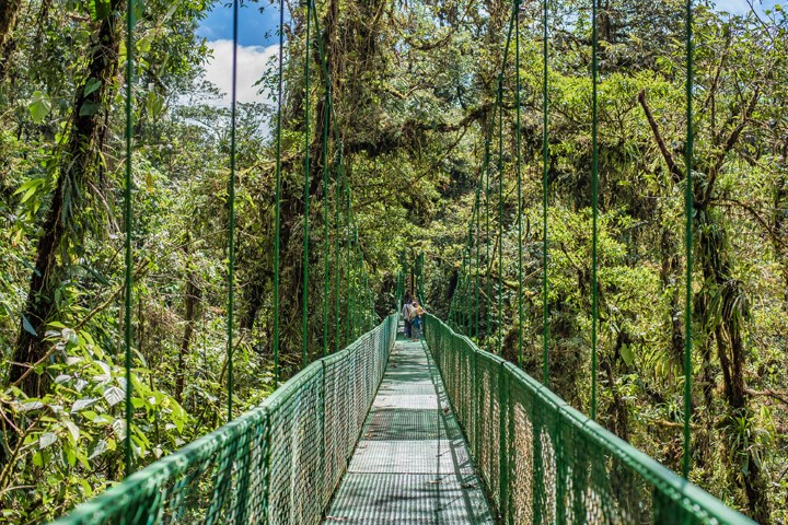 26_-_monteverde_-_hanging_bridges_03_Gallery