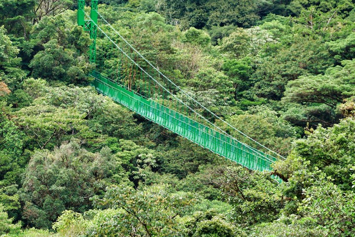 26_-_monteverde_-_hanging_bridges_04_Gallery
