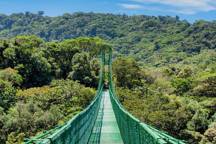 26_-_monteverde_-_hanging_bridges_05_Gallery