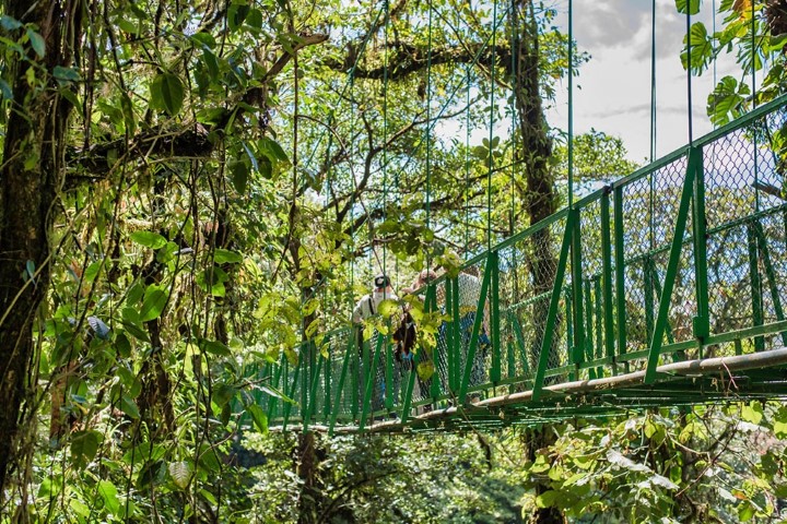 26_-_monteverde_-_hanging_bridges_09_Gallery