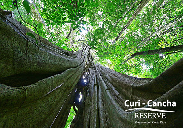 costa_rica_info_center