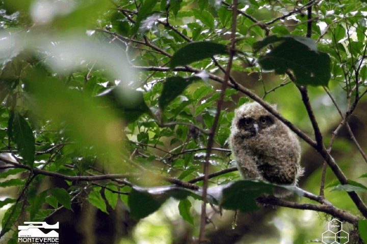 costa_rica_info_center
