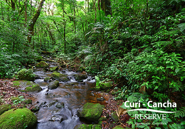 costa_rica_info_center