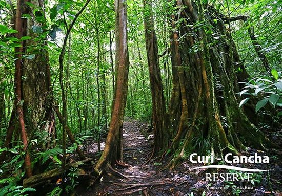 costa_rica_info_center