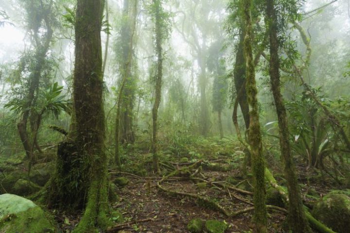 costa_rica_info_center