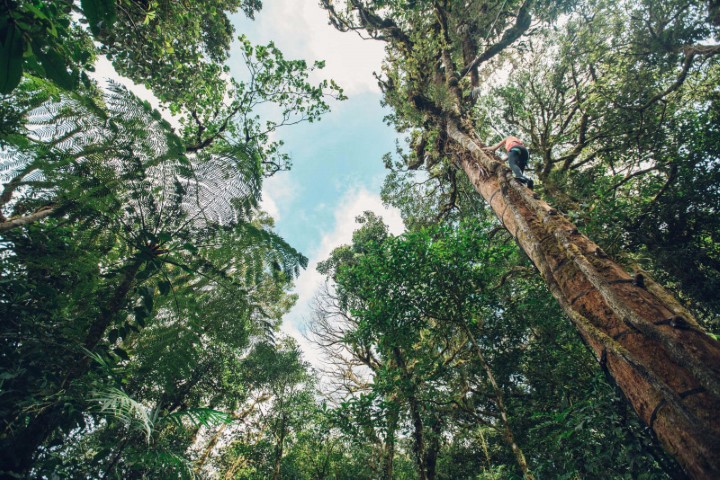 costa_rica_info_center