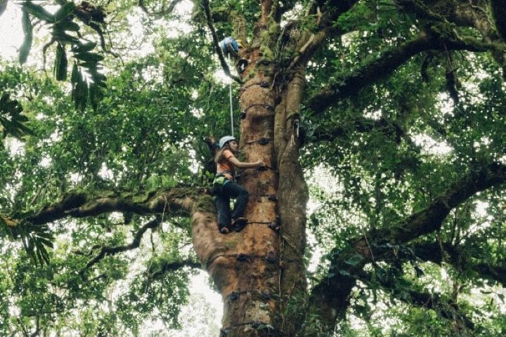 costa_rica_info_center