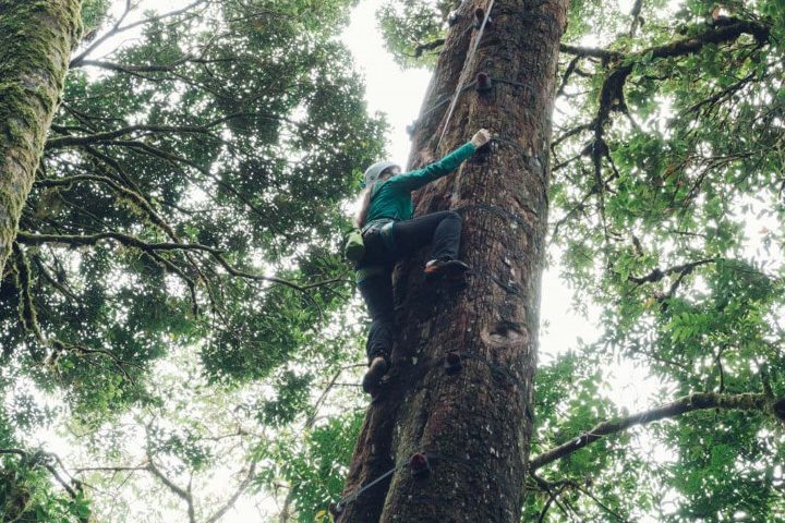 costa_rica_info_center