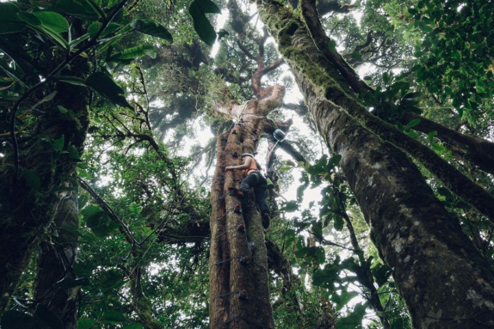 costa_rica_info_center