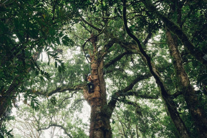 costa_rica_info_center