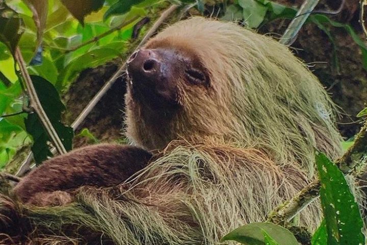 costa_rica_info_center