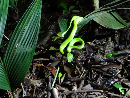 costa_rica_info_center