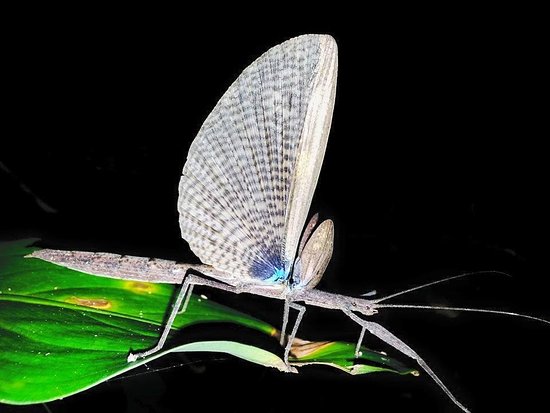 costa_rica_info_center