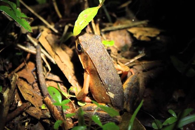 costa_rica_info_center