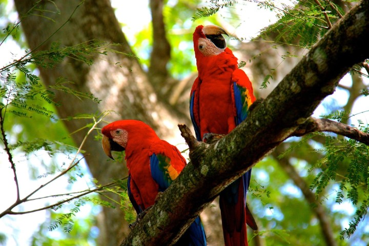 costa_rica_info_center