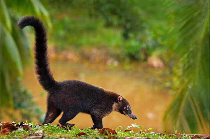 costa_rica_info_center