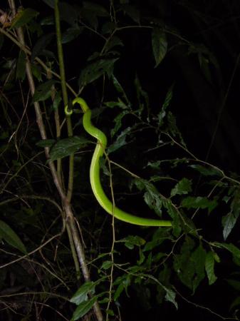 costa_rica_info_center