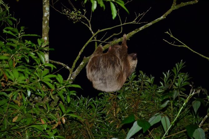 costa_rica_info_center