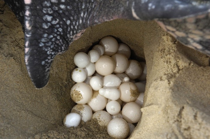 costa_rica_info_center