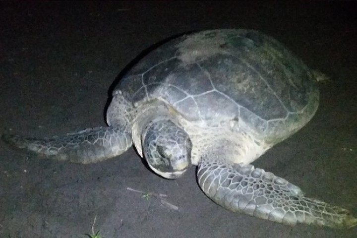 costa_rica_info_center