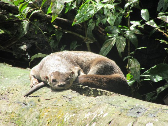 costa_rica_info_center