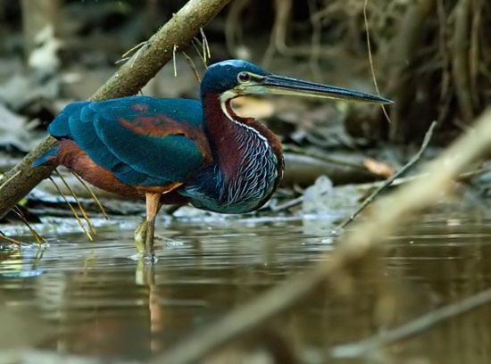 costa_rica_info_center