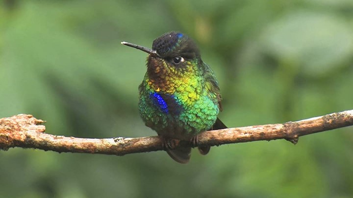 costa_rica_info_center