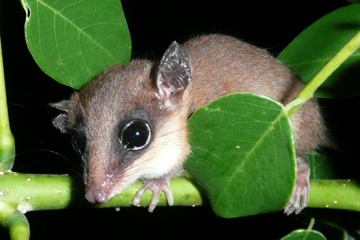 costa_rica_info_center