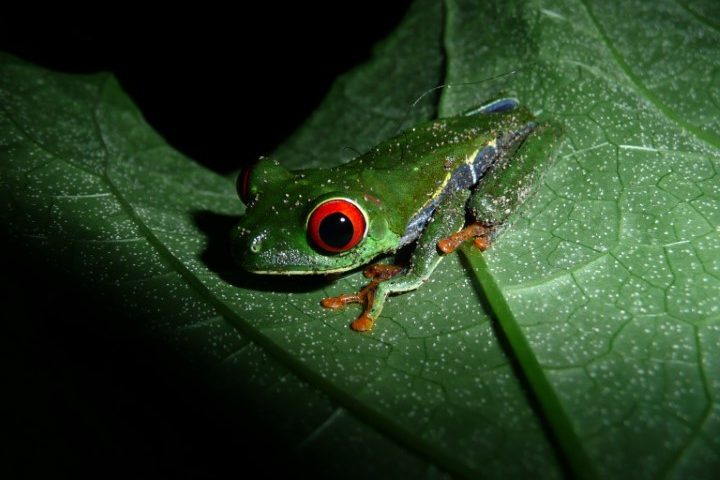 costa_rica_info_center