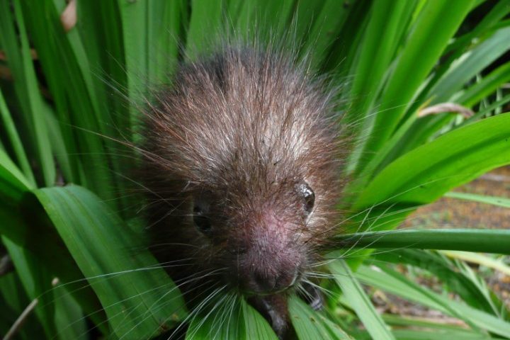 costa_rica_info_center