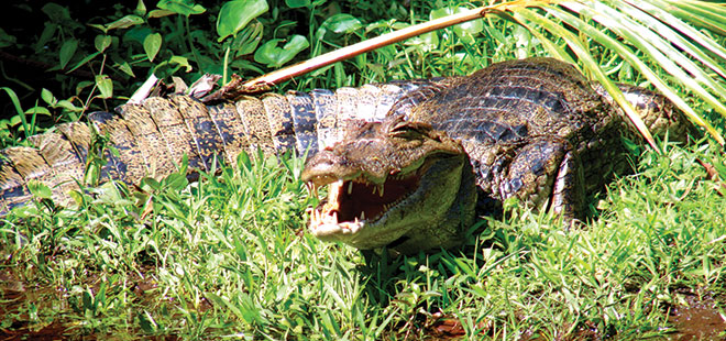 costa_rica_info_center