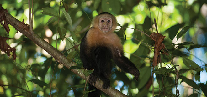 costa_rica_info_center