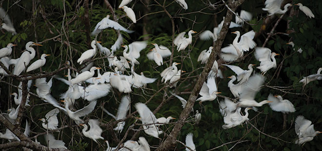 costa_rica_info_center