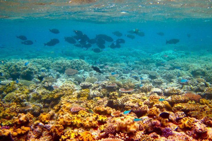 costa_rica_info_center