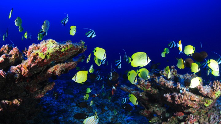 costa_rica_info_center
