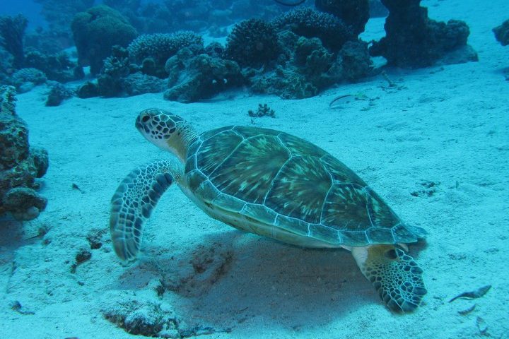 costa_rica_info_center