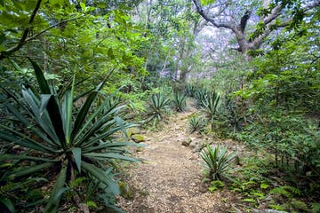 costa_rica_info_center